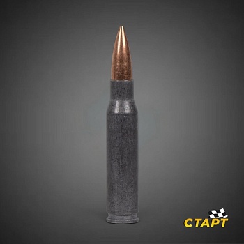 Патрон 7,62х51 FMJ 10,9 гр.полимер БПЗ